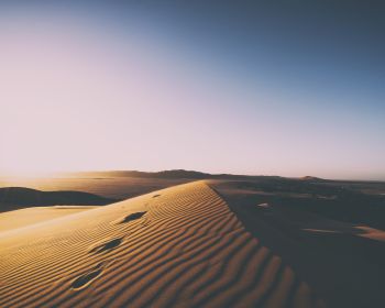 arabia saudita